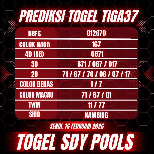 WhatsApp Image 2026-02-16 at 03.18.31