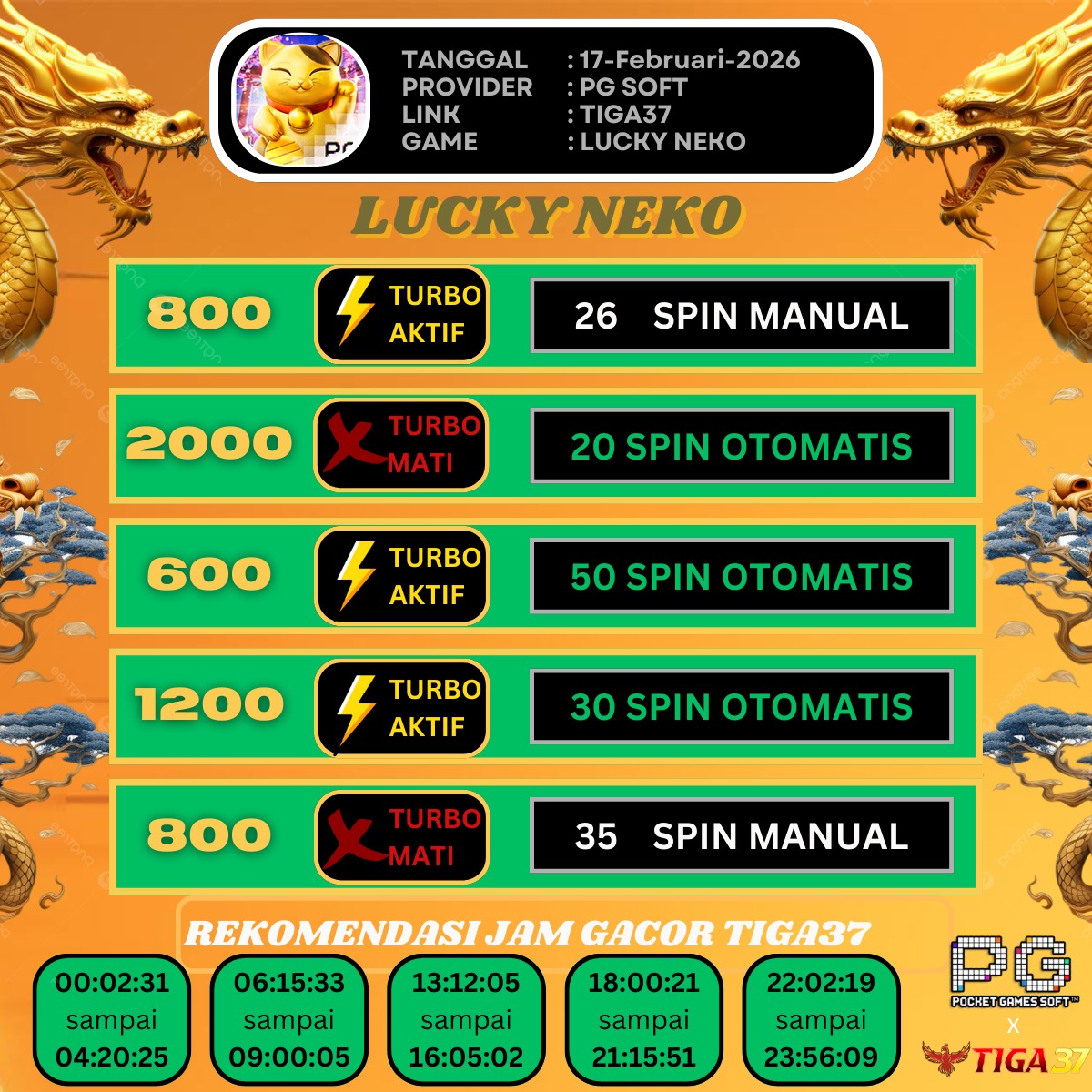 WhatsApp Image 2026-02-17 at 07.31.53