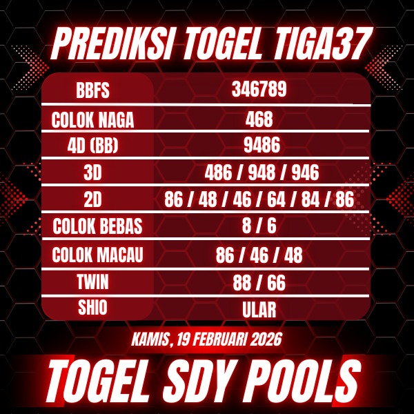 WhatsApp Image 2026-02-19 at 04.56.15