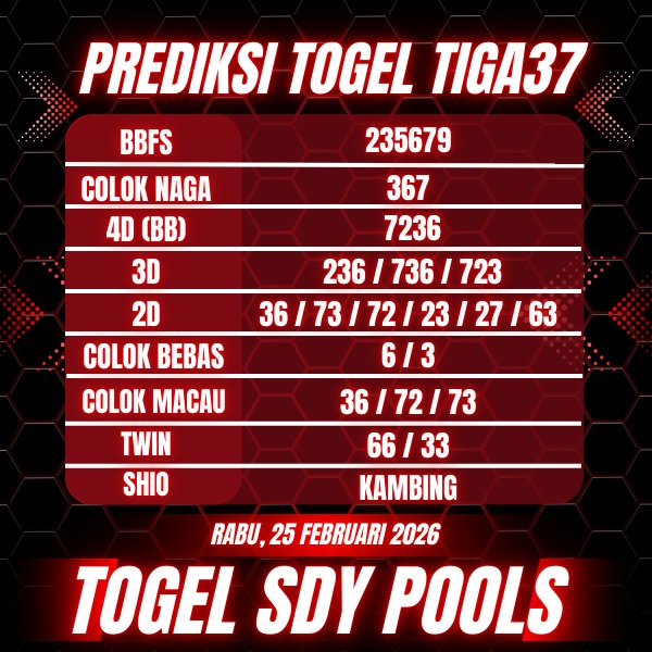 WhatsApp Image 2026-02-25 at 04.59.16