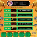 WhatsApp Image 2026-04-13 at 05.49.49 (3)