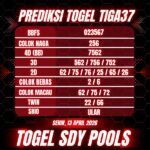 WhatsApp Image 2026-04-13 at 05.54.35 (1)