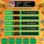 WhatsApp Image 2026-04-14 at 05.58.42 (3)