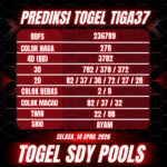 WhatsApp Image 2026-04-14 at 06.03.48