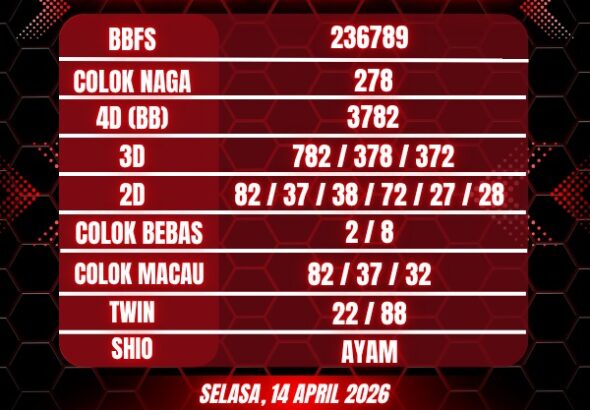 WhatsApp Image 2026-04-14 at 06.03.48