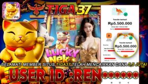 photo_6248765520186380219_y