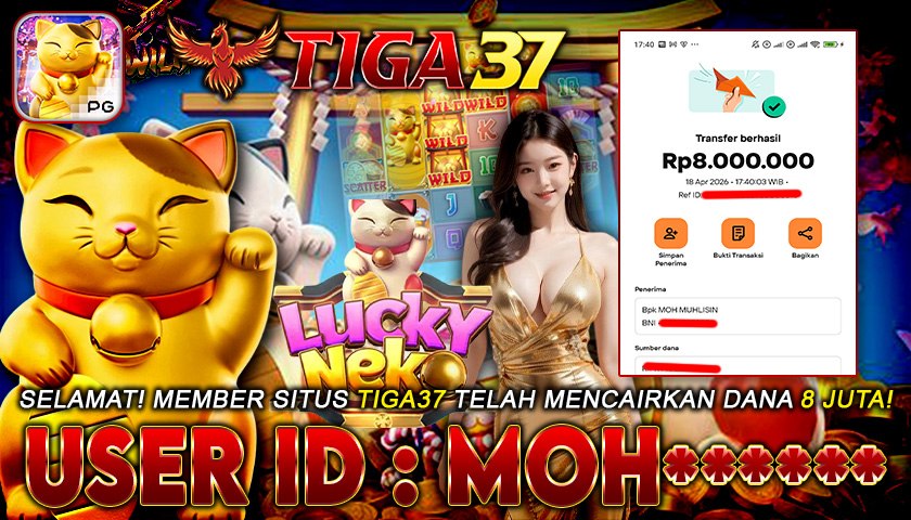 photo_6280392538367660199_y